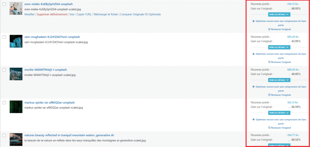 imagify  optimisation mediatheque